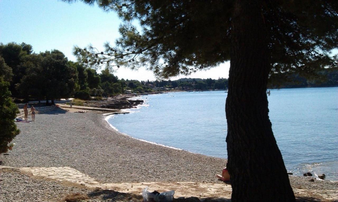 Studio Green Garden Borik Ρόβινι Εξωτερικό φωτογραφία